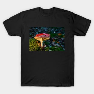 Toadstall T-Shirt